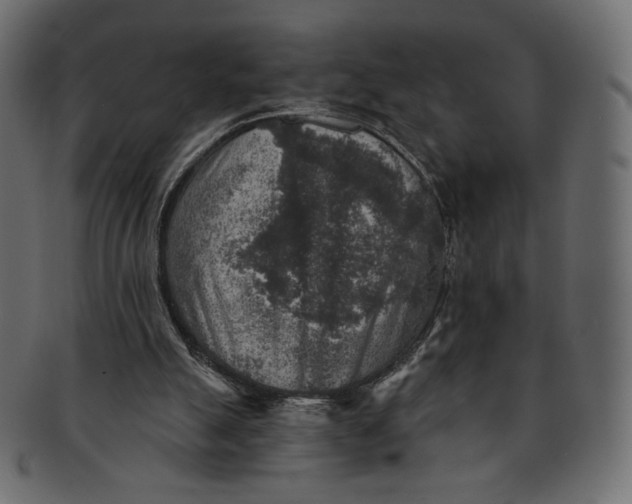 X0000091850055200709261215