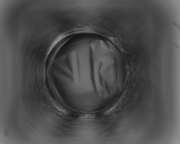 X0000091850056200709261215