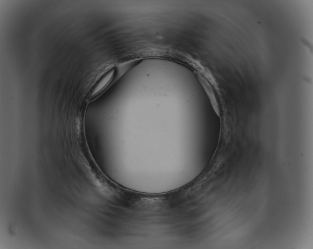 X0000091850057200709261215