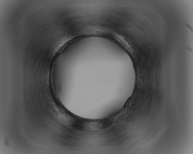X0000091850058200709261215