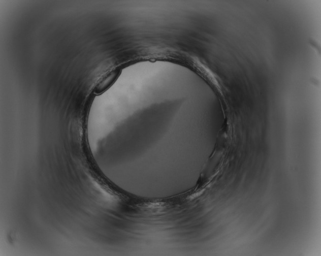 X0000091850059200709261215