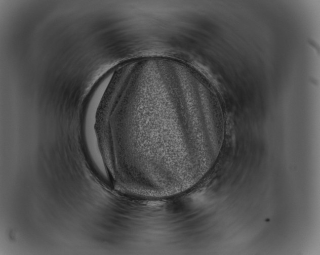 X0000091850060200709261215