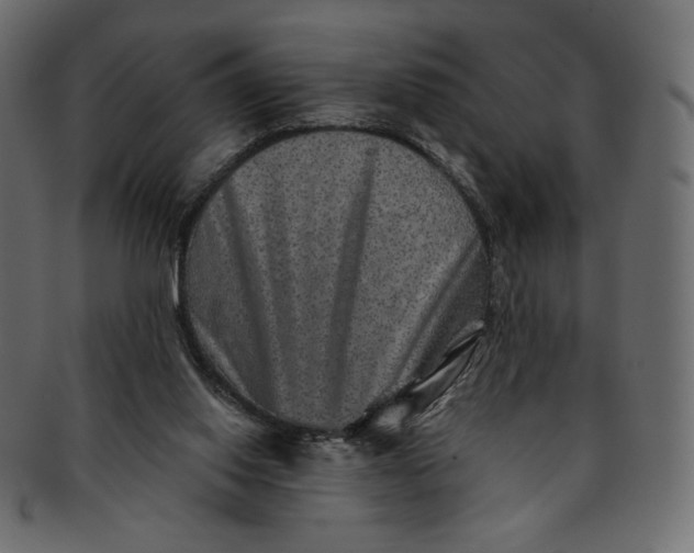 X0000091850062200709261215