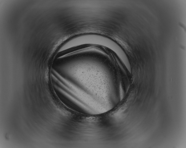 X0000091850064200709261215