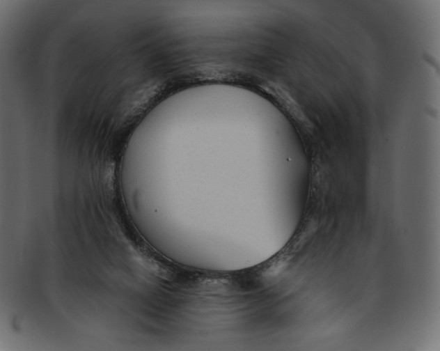 X0000091850066200709261215