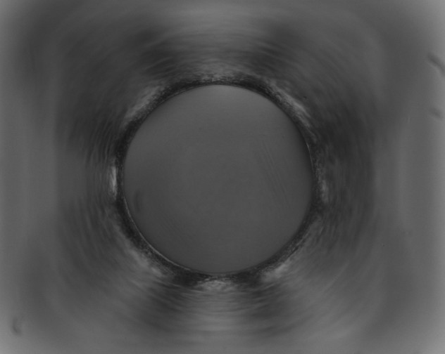 X0000091850067200709261215