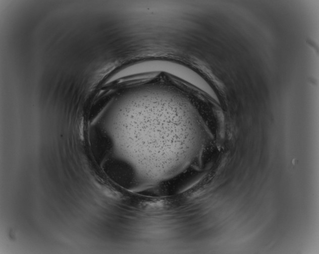 X0000091850068200709261215
