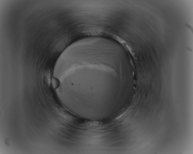 X0000091850069200709261215