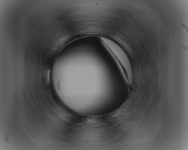 X0000091850070200709261215