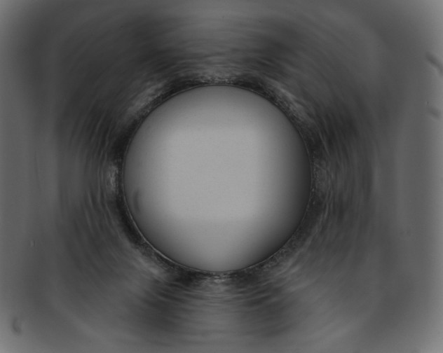 X0000091850071200709261215