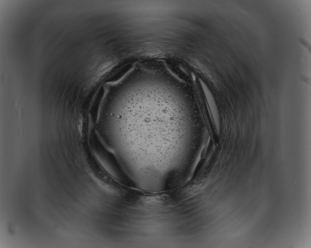 X0000091850072200709261215