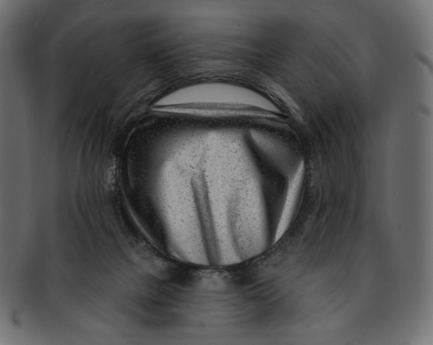 X0000091850073200709261215