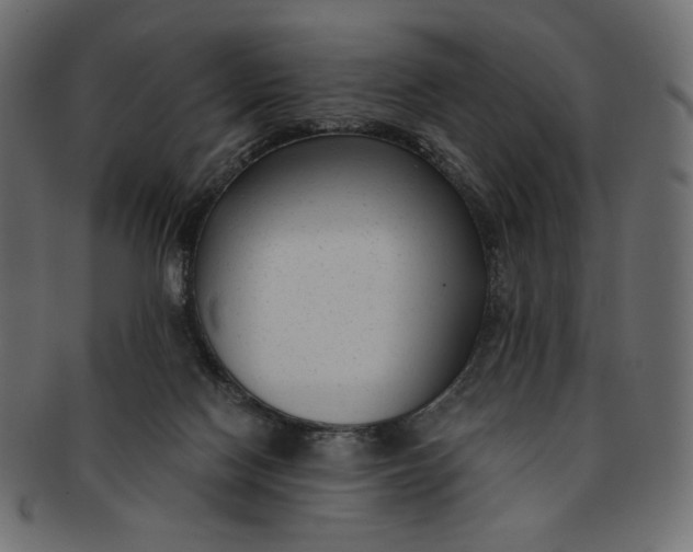 X0000091850074200709261215