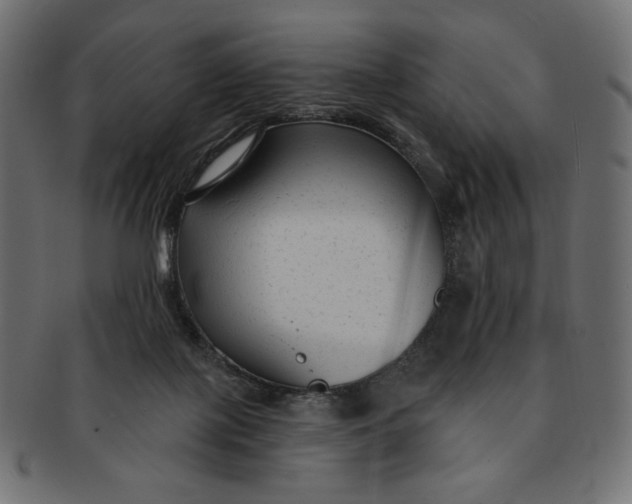 X0000091850075200709261216