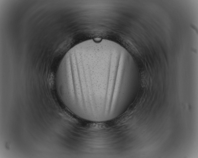 X0000091850077200709261216