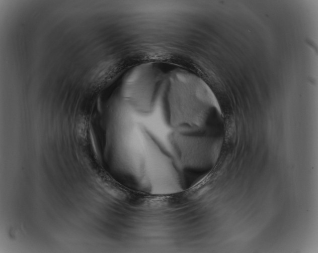 X0000091850078200709261216