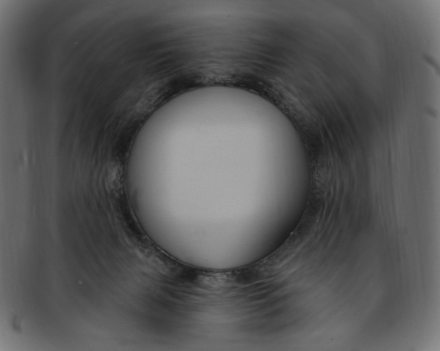 X0000091850079200709261216