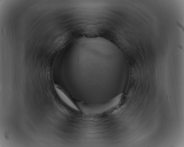 X0000091850080200709261216