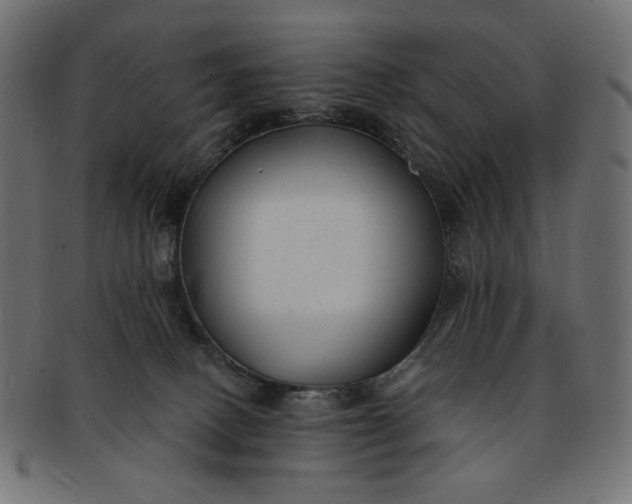 X0000091850082200709261216