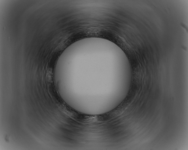 X0000091850083200709261216