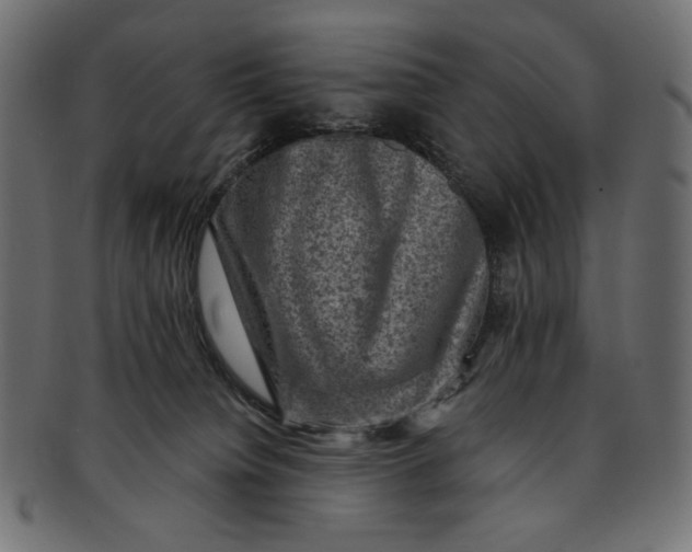 X0000091850084200709261216
