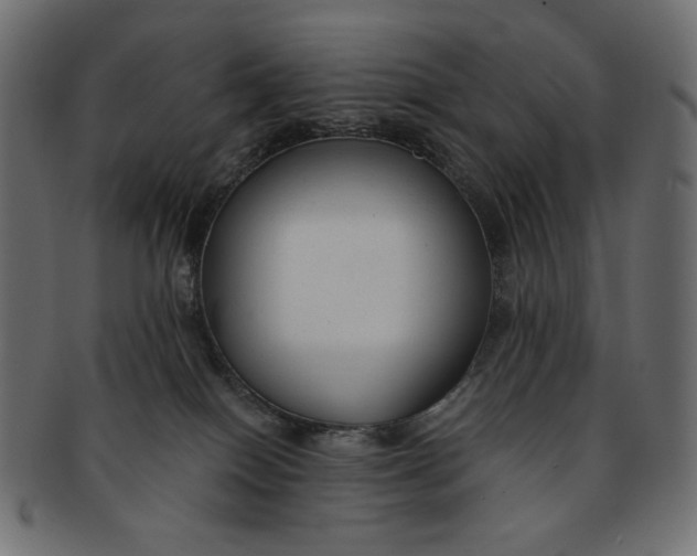 X0000091850086200709261216