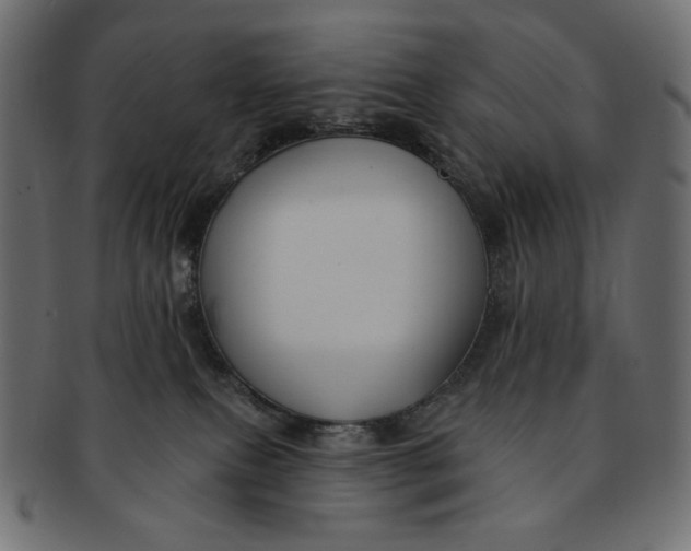 X0000091850087200709261216