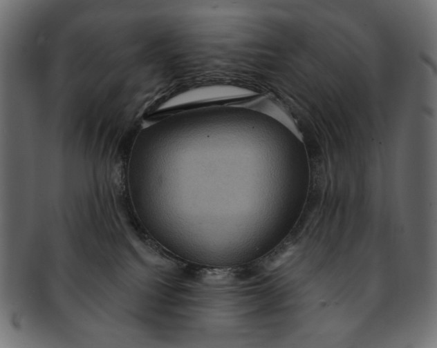 X0000091850088200709261216