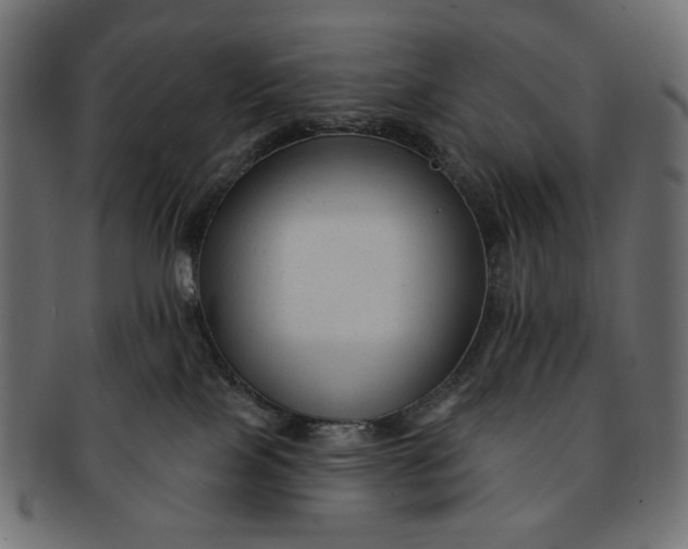 X0000091850089200709261216