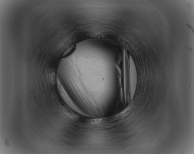 X0000091850090200709261216