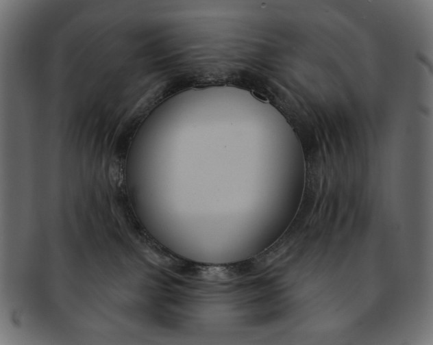 X0000091850091200709261216
