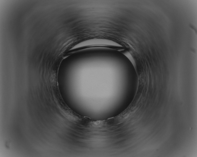 X0000091850092200709261216