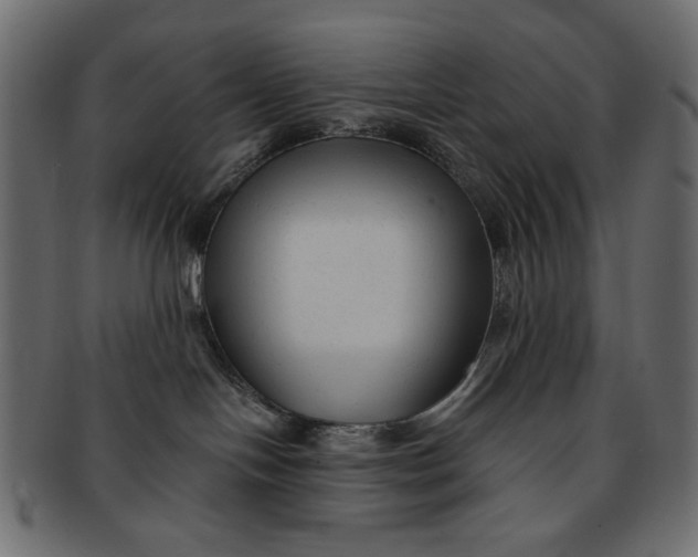 X0000091850094200709261216