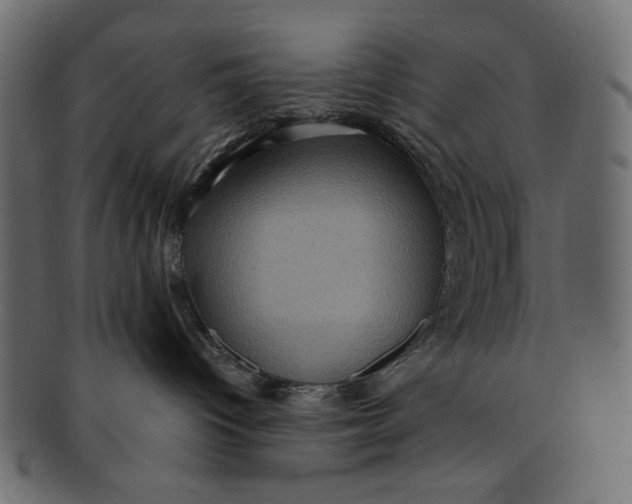 X0000091850096200709261216
