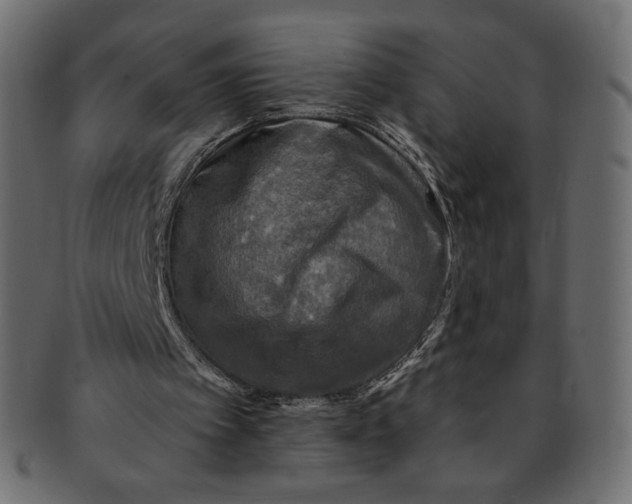X0000091850097200709261215