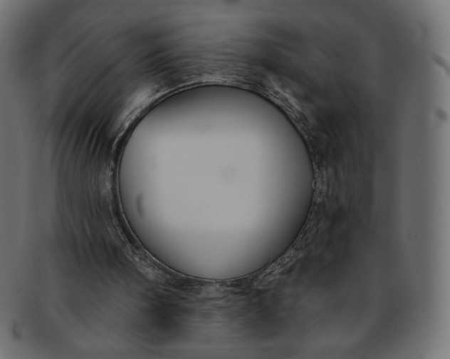 X0000091850098200709261215