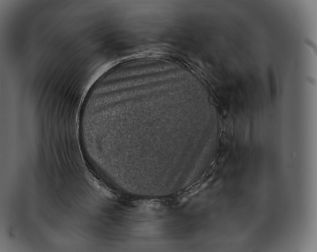 X0000091850100200709261215