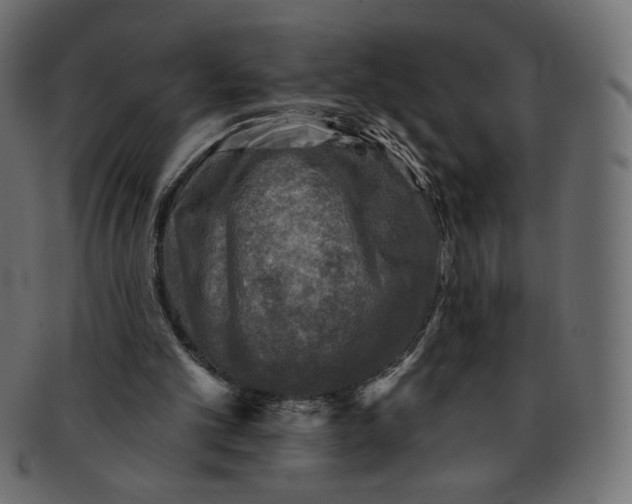 X0000091850101200709261215