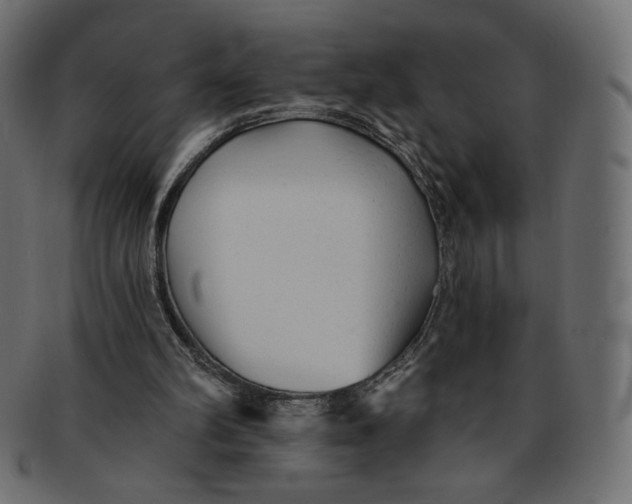 X0000091850102200709261215