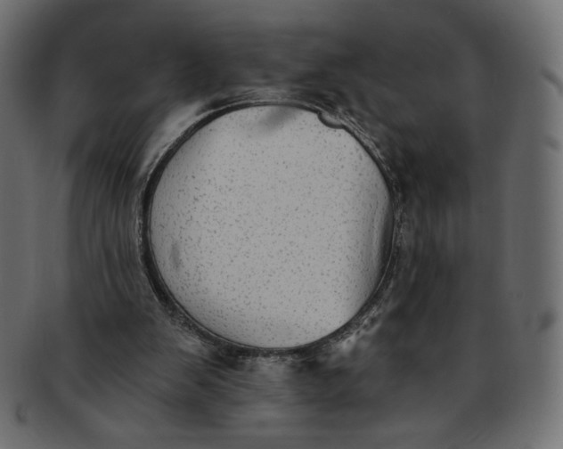 X0000091850103200709261215