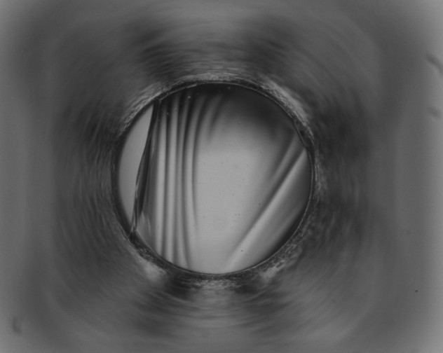 X0000091850105200709261215