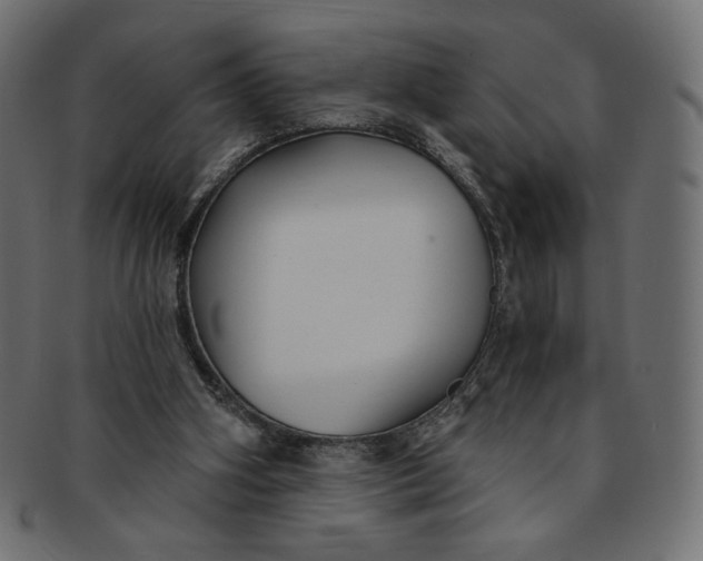 X0000091850106200709261215