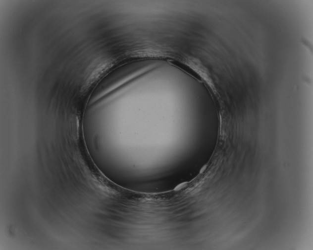 X0000091850109200709261215