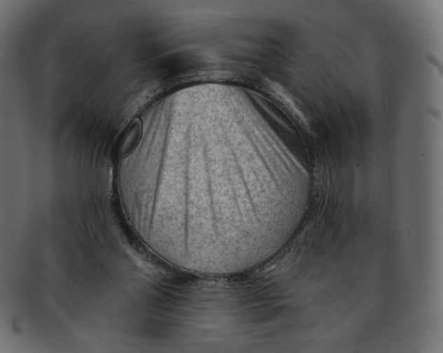 X0000091850110200709261215