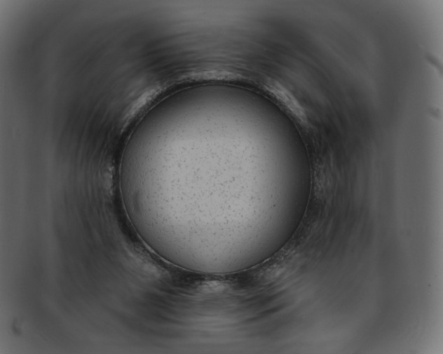 X0000091850111200709261215