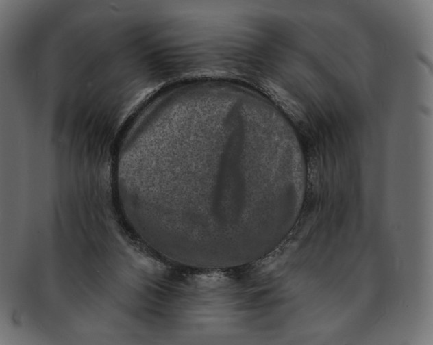 X0000091850112200709261215