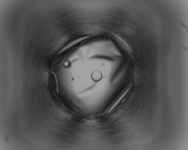 X0000091850113200709261215