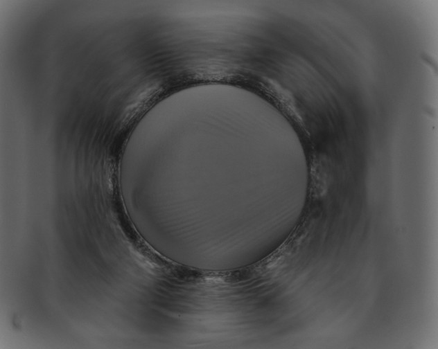 X0000091850114200709261215