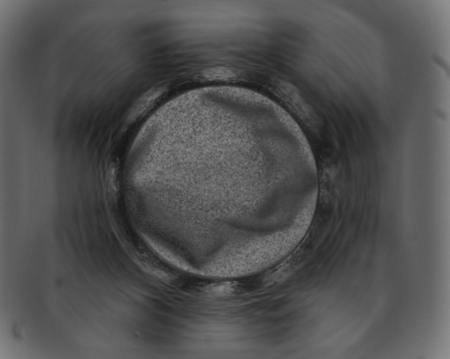 X0000091850116200709261215