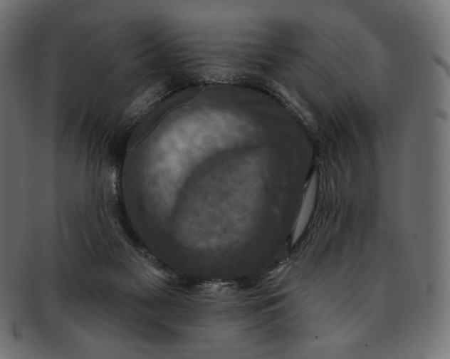 X0000091850117200709261215
